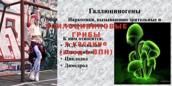бутират Елизово