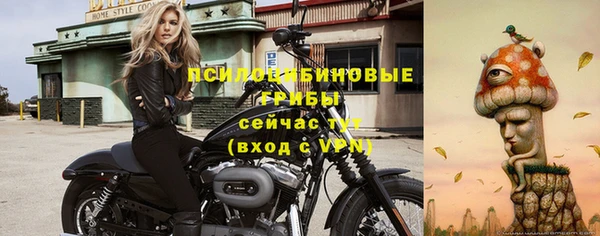 не бодяженный Елабуга