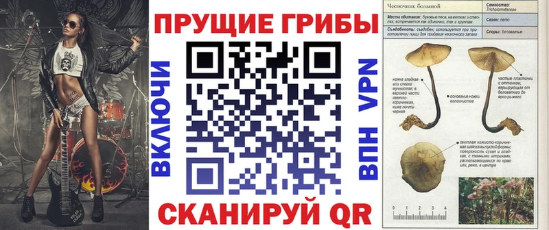 закладка  Светогорск  Галлюциногенные грибы прущие грибы 