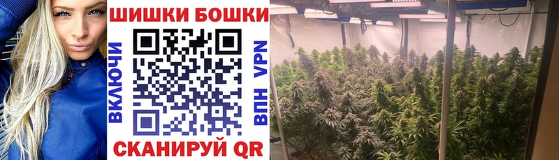 наркотики  Светогорск  Шишки марихуана OG Kush 